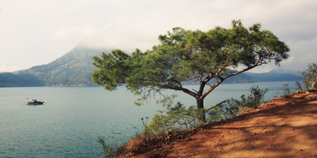 View on Adrasan Bay. Tourist boat in the sea. Aged photo. Pine tree and sea - toned photo. Walking...