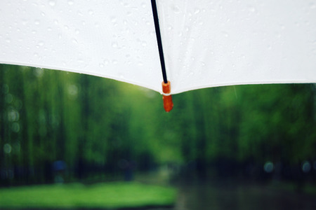 White umbrella with raindrops. Aged photo. Spring Rainy day. Photo with retro filter. Spring season background image.の写真素材