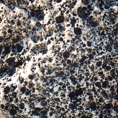 Porous rock texture.の写真素材