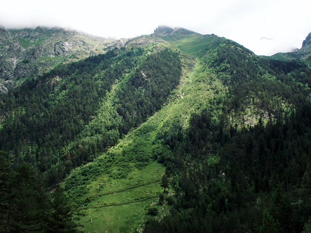 Mountains covered with green trees. Summertime. Retro photo. Uzunkol Valley, Caucasus Mountains, Karachay-Cherkessia, Russia.の写真素材