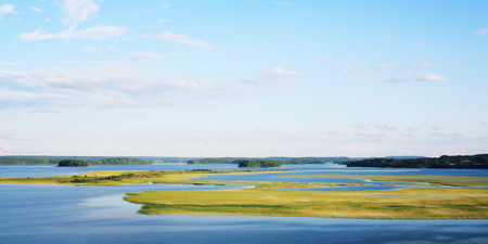 Sunny summer day on Kenozero lake. Colorful photo. Long green grass growing in the water. Natural background. Wide format photo. Kenozersky National Parkの写真素材