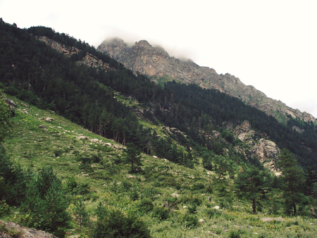 Mountains covered with green trees. Summertime. Retro photo. Uzunkol Valley, Caucasus Mountains, Karachay-Cherkessia, Russia.の写真素材