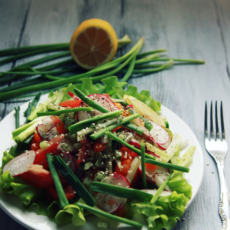 Spring vegetables salad on the white plate. Radish, tomato, celery and cucumber. Topped with sesame seeds. Vegetarian dish. Painted white wooden table background.の写真素材