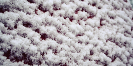 Red wooden surface covered with snow. Fluffy snowflakes on the roof. Natural background. Cold winter day. Close up. Winter in Russia. Wide photo.の写真素材