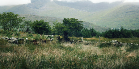 Kerry Mountains and surrounding areas in County Kerry. Old dry wall in the abandoned field. A scenic view. Landscape along the Ring of Kerry. Retro effect. Ireland. Wide photo.の写真素材