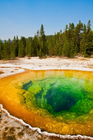 Morning Glory Pool in Yellowstone National Park,USAの写真素材