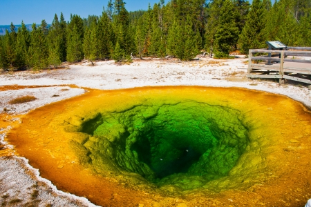 Morning Glory Pool in Yellowstone National Park,USAの写真素材