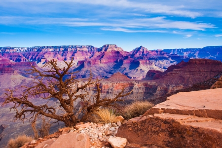 The World Famous Grand Canyon National Park,Arizona,USAの写真素材