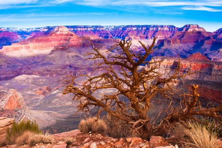 The Beautiful Landscape of Grand Canyon National Park, Arizonaの写真素材
