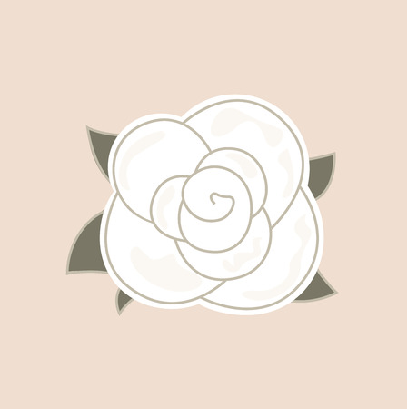 White vintage rose. Vector Illustrationのイラスト素材