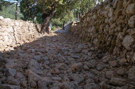 cobblestone path bordered by stone walls and old trees in the backgroundの写真素材