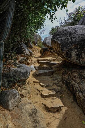 A close up of a rocky path leading to the beach in Virgin Gorda, British Virgin Islandの写真素材