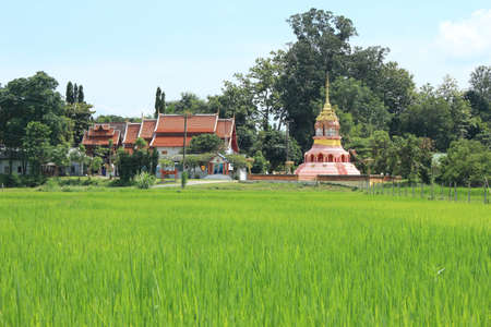 Chiangmai ,Thailand-Septeber 19 ,2012 :Mae Ann Temple in Maerim , Chiangmaiのeditorial素材