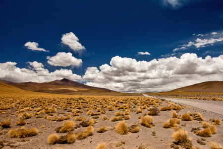 The pathの写真素材