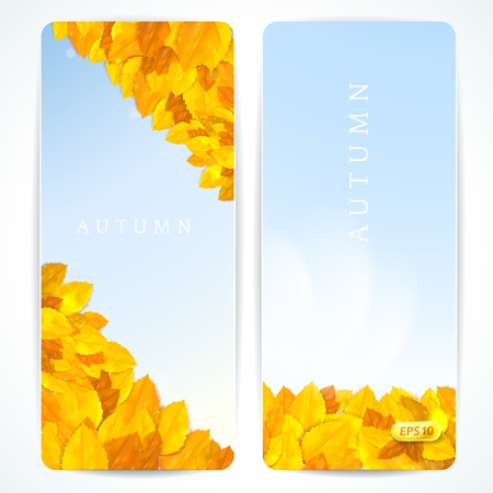 Set of vector banners with autumn leaves.のイラスト素材