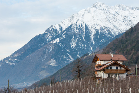 House in the vineyward in the mountains, Dolomitesのeditorial素材