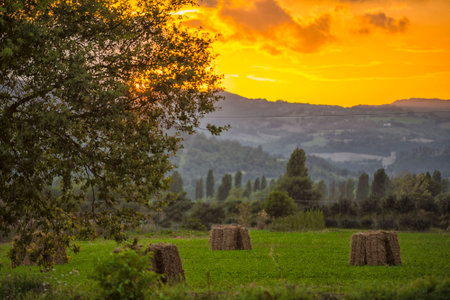 Hay bales in the meadows at sunset, Gubbio, Umbria, Italyの写真素材