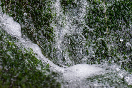 Water falling on green mossの写真素材