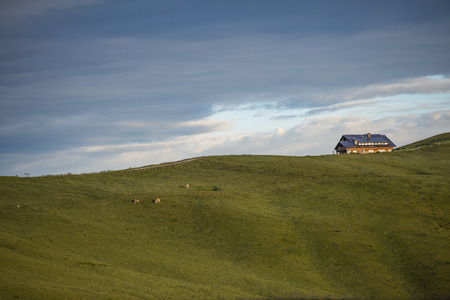 Mountain hut on to edge with cows in the meadows, sunrise, Giau Pass, Dolomites, Veneto, Italyのeditorial素材