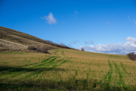 Tracks in the fields, Umbria, Italy