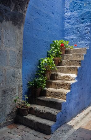 Picturesque blue stairway with flower pots and blue wallの写真素材