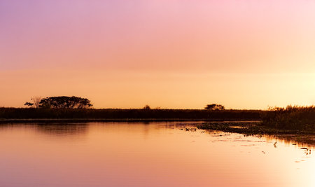 Amazing landscape of Ibera Provincial Park with grassland, trees and Ibera lagoon during sunset in Corrientes, Argentinaの写真素材