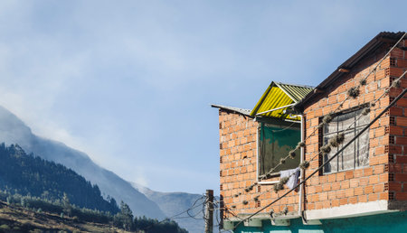 Facade of a precarious house in the mountains of Quime, Bolivia. Yungas region of Bolivia. Located in the Apartment of La Paz, Bolivia, Quime is a small town located in a deep forested valley surrounded by high peaks of the Andes.の写真素材