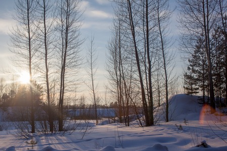 Beautiful winter sunset with trees in the snow. twilight winter sunset in the forestの写真素材
