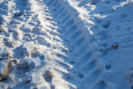 Tracks of tractors in the snowの写真素材