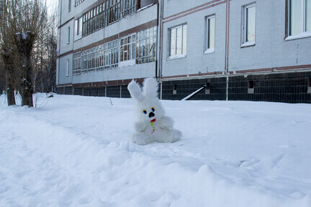 little girl with a toy hare in the winter in the forestの写真素材