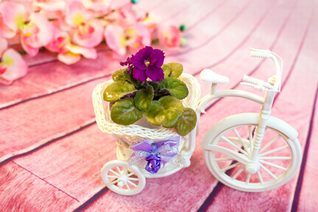 purple,violet orchid flower Decorative bicycle from a vine with flowersの写真素材