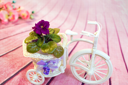 purple,violet orchid flower Decorative bicycle from a vine with flowersの写真素材