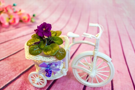 purple,violet orchid flower Decorative bicycle from a vine with flowersの写真素材
