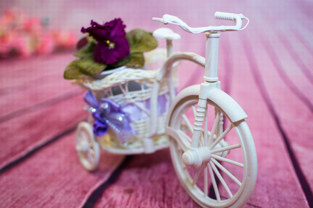purple,violet orchid flower Decorative bicycle from a vine with flowersの写真素材