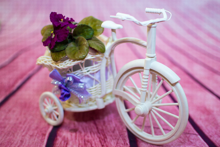 purple,violet orchid flower Decorative bicycle from a vine with flowersの写真素材