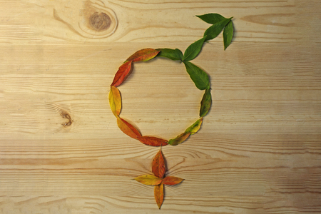 The female gender symbol is equal to the male concept of gender equalityの写真素材