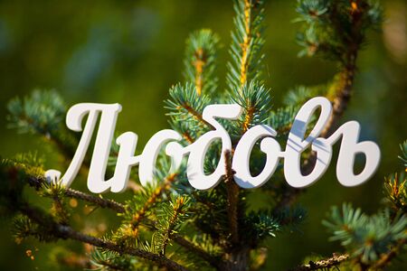Russian language, the word Love cut out of white plastic. Park, blue spruce. Summer. Word: Family, Cyrillic.の写真素材