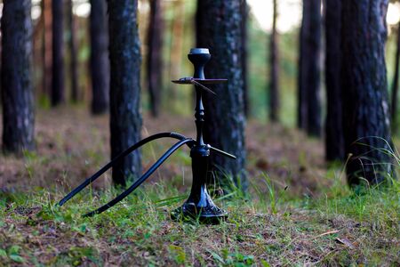 Hookah. Beautiful elegant hookah on the background of a pine forest. Hookah Smoking in nature.の写真素材