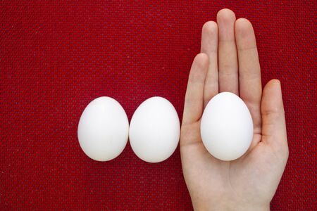 egg in hand on a red background. Red texture backgroundの写真素材