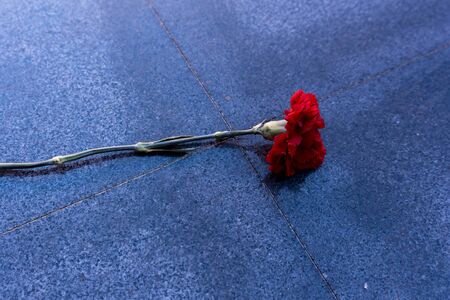 red carnation on a marble monumentの写真素材