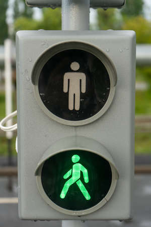 Traffic light green symbol of a person, you can goの写真素材