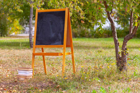 Background for photos in the Park in the school style.の写真素材