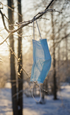 Used medical mask hanging on a tree branch, winterの写真素材