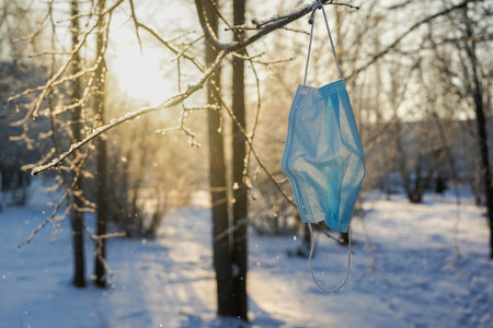 Used medical mask hanging on a tree branch, winterの写真素材