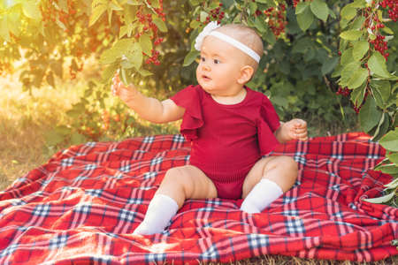 A newborn child of 10-12 months touches a red cherry berry