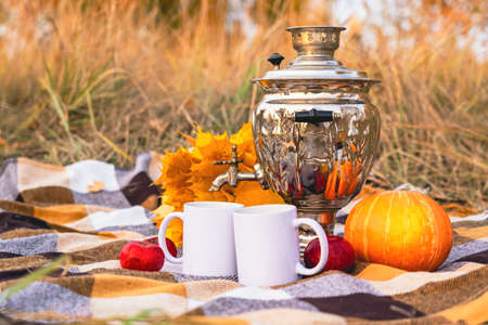 A Russian samovar on a picnic in autumn. Equipment for brewing tea at a picnic in Russia, a Russian national tradition.の写真素材