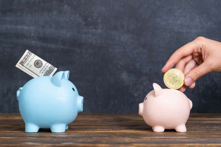 The concept of a traditional and modern approach to investment. Investments in dollars and cryptocurrencyの写真素材