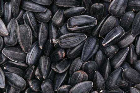 Dry black sunflower seeds of black color, top viewの写真素材