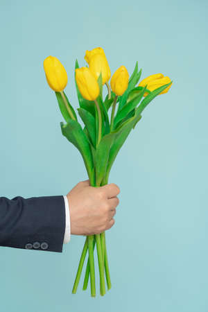 Bouquet of yellow flowers tulips in a man's hand on a blue backgroundの写真素材