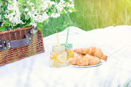 Picnic basket with lemonade and croissants on a white blanket in a blooming apple orchardの写真素材